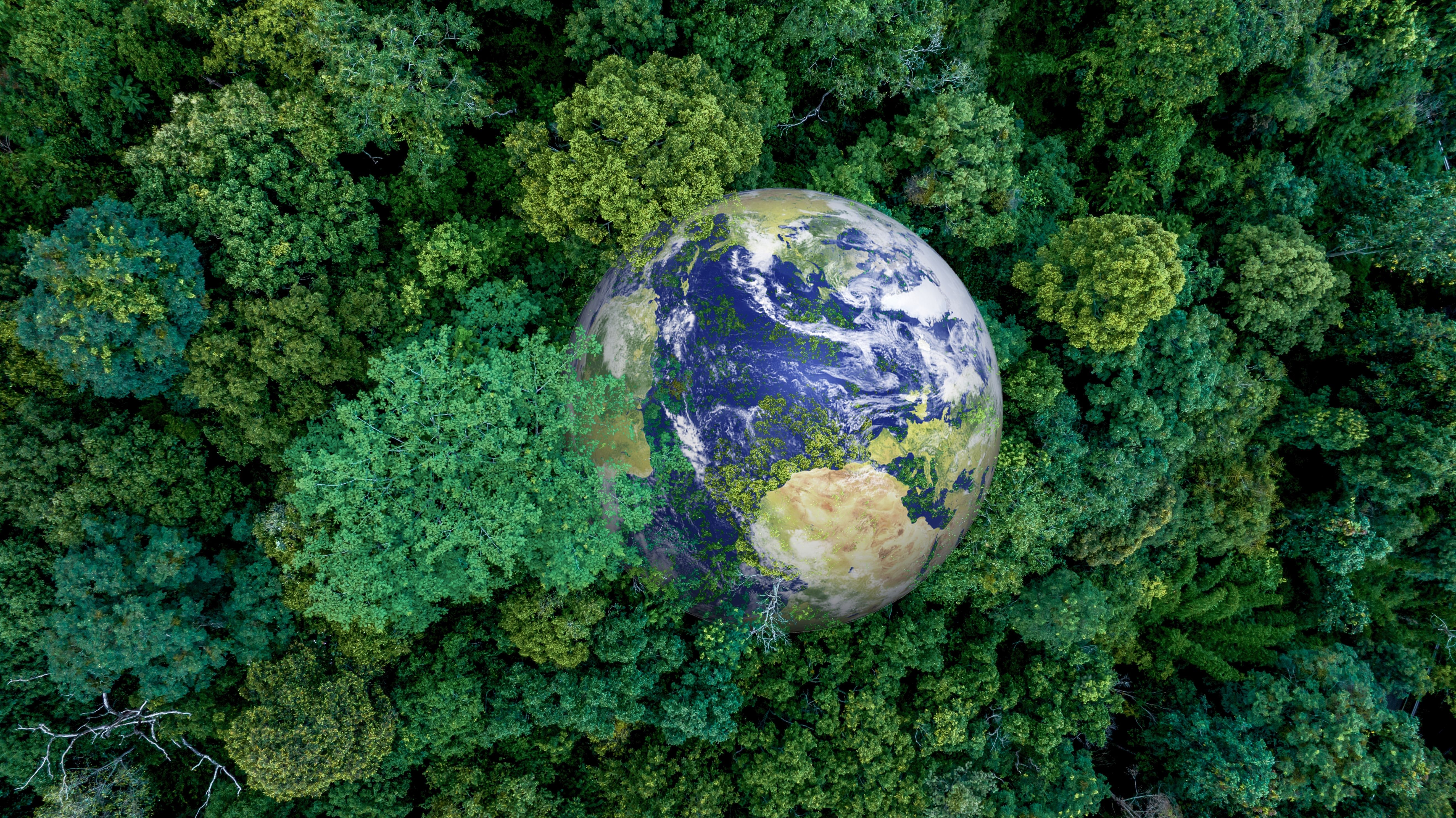 Image of the globe in woodland