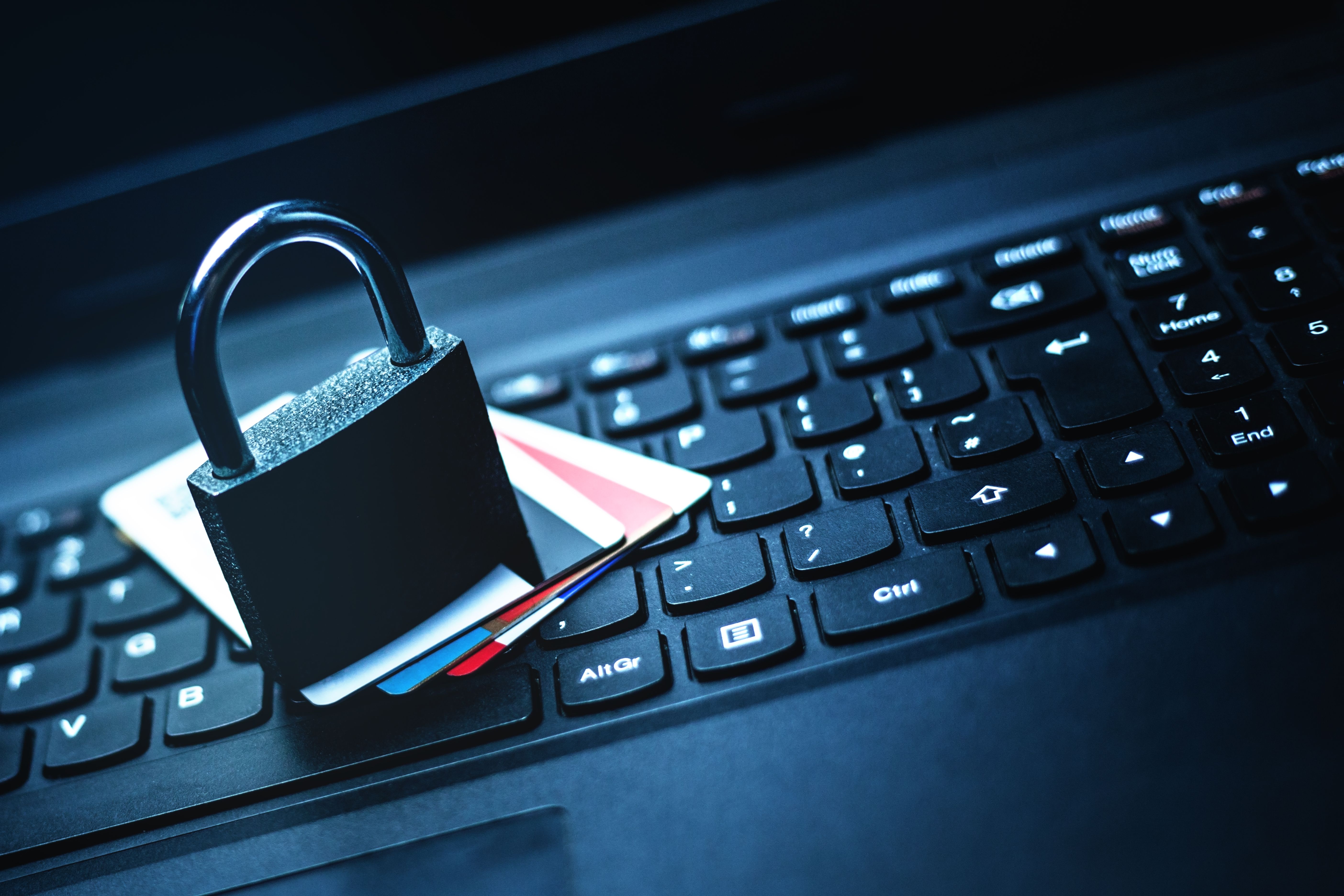 Credit and debit card shopping security